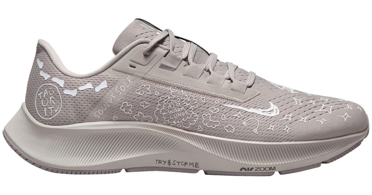 dicks sporting goods nike pegasus
