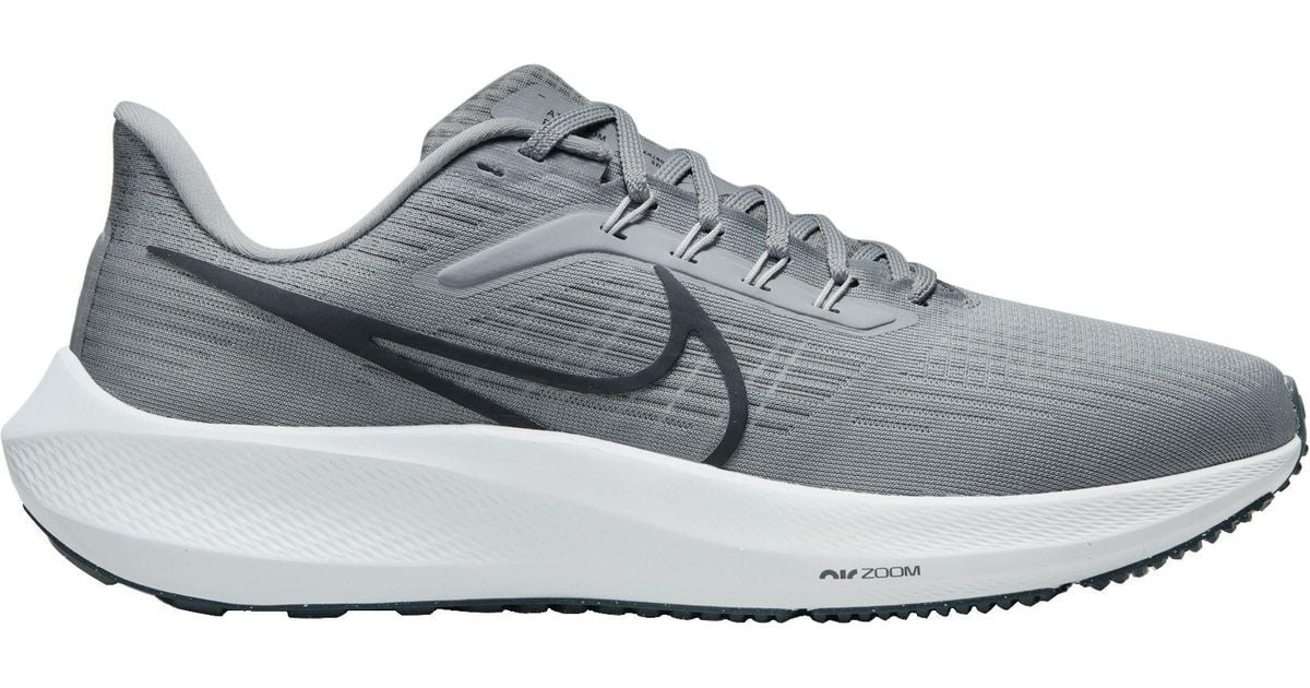 dicks sporting goods nike pegasus