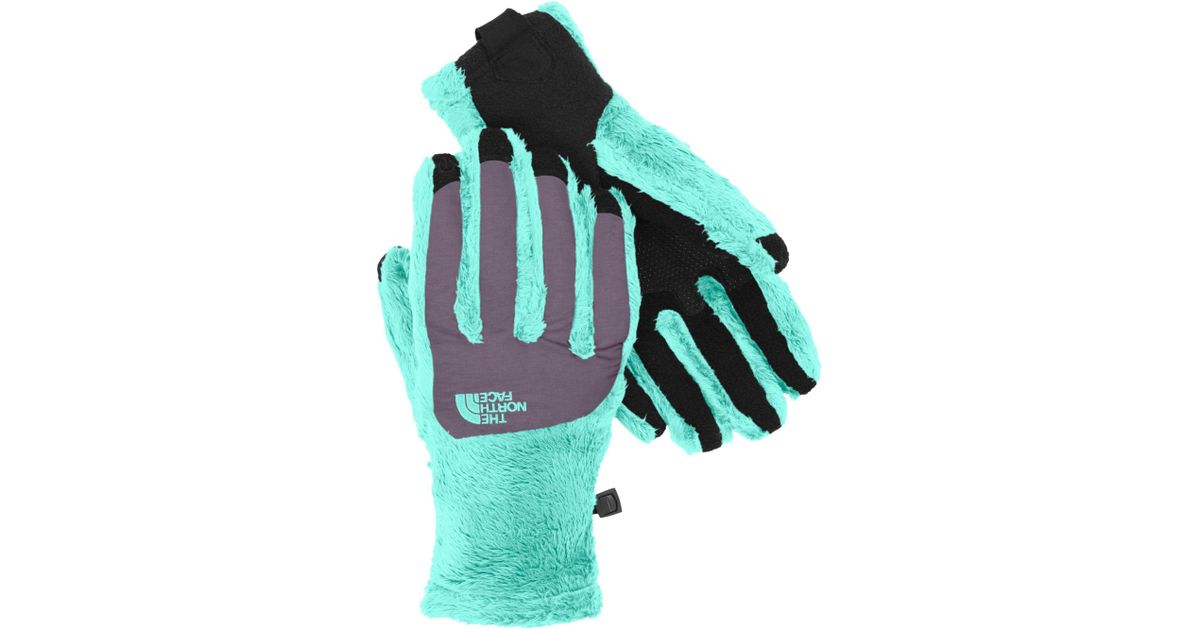 dicks north face gloves