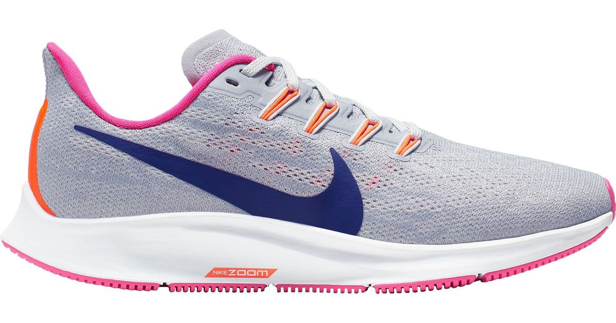dicks sporting goods nike pegasus