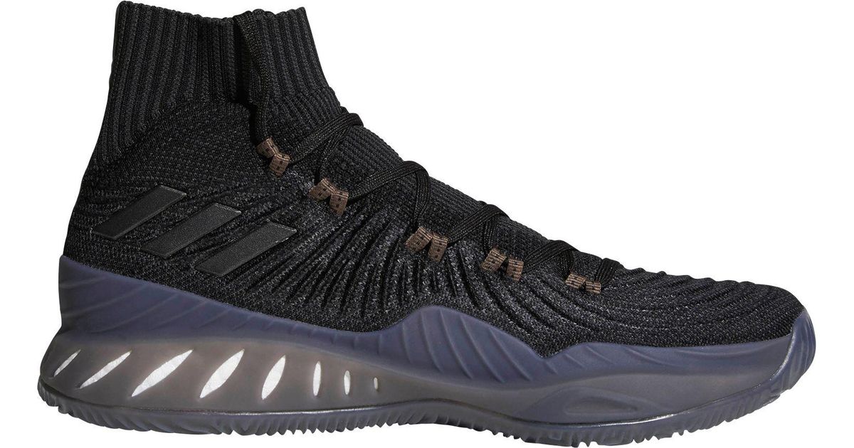 adidas crazy explosive pk 2017