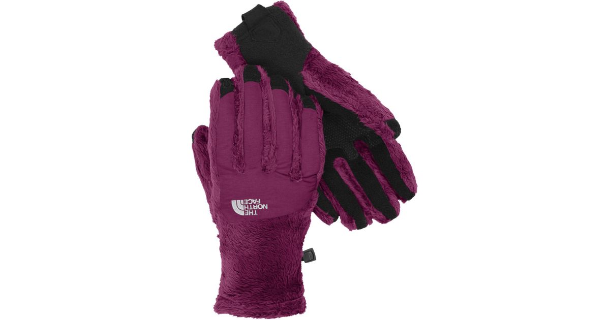 north face denali thermal etip gloves