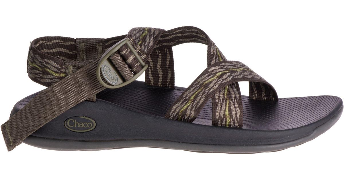 chaco z eddy x1