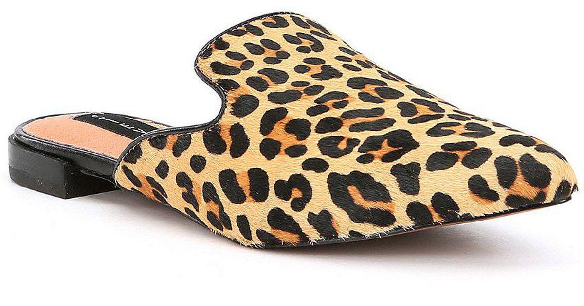 leopard print mules steve madden