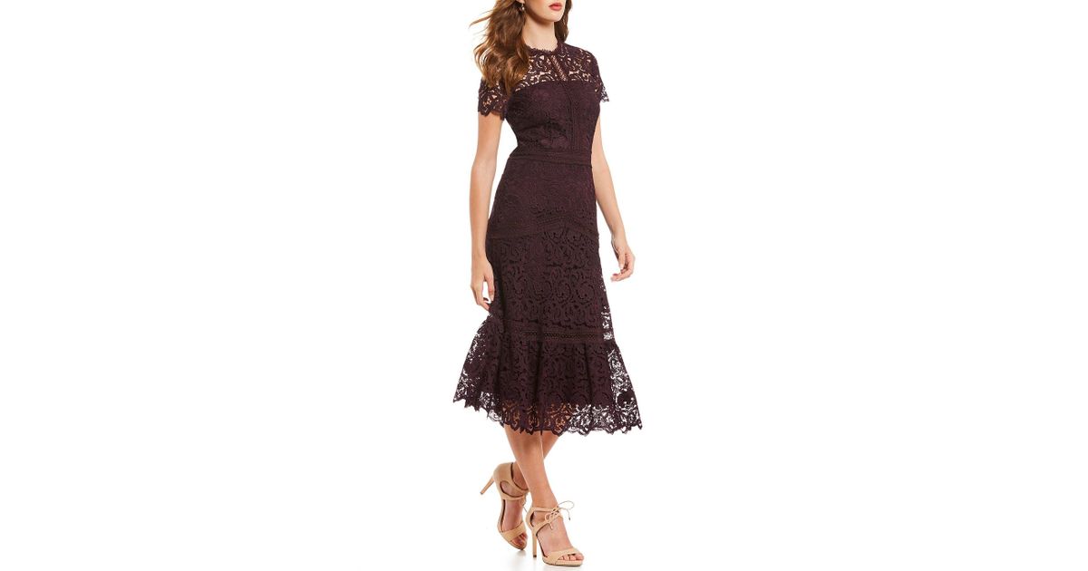 antonio melani lexi lace midi dress