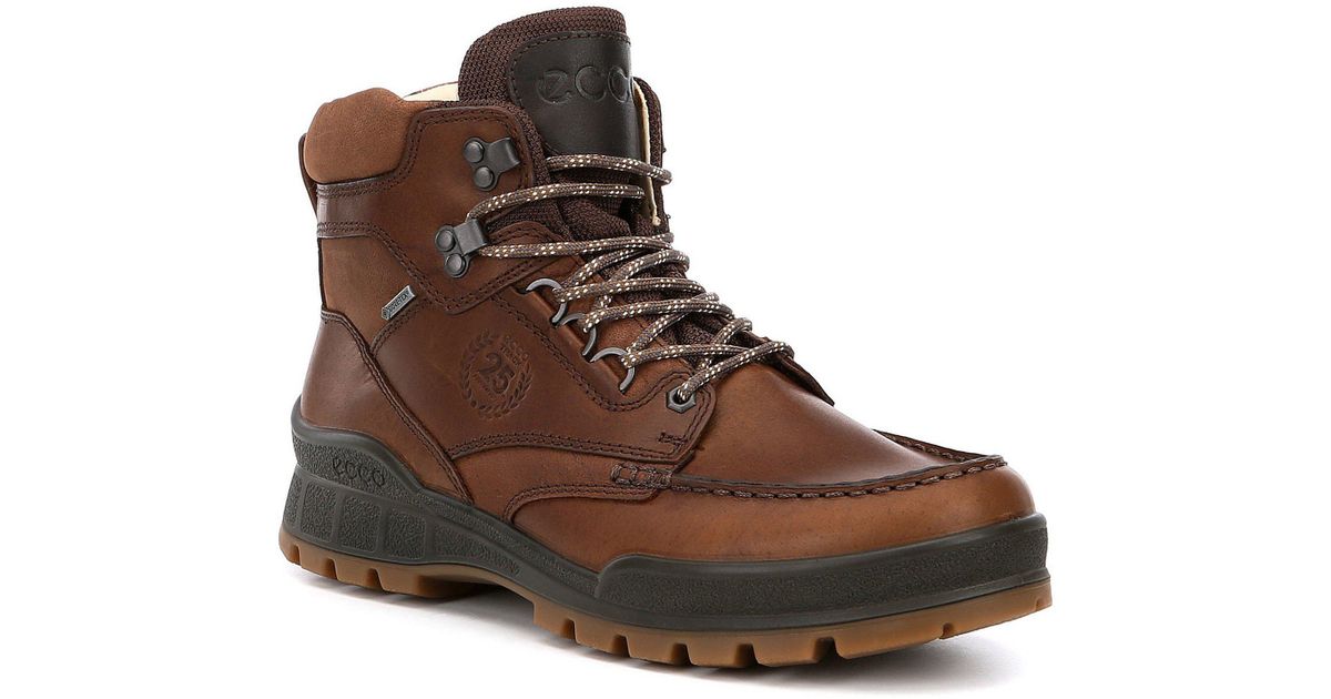 ecco hiking boots for men