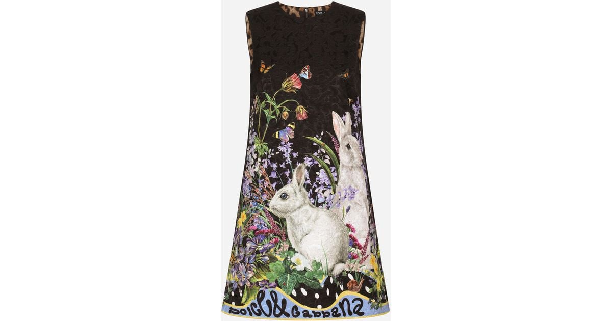 Dolce & Gabbana Rabbitprint Brocade Aline Dress Lyst