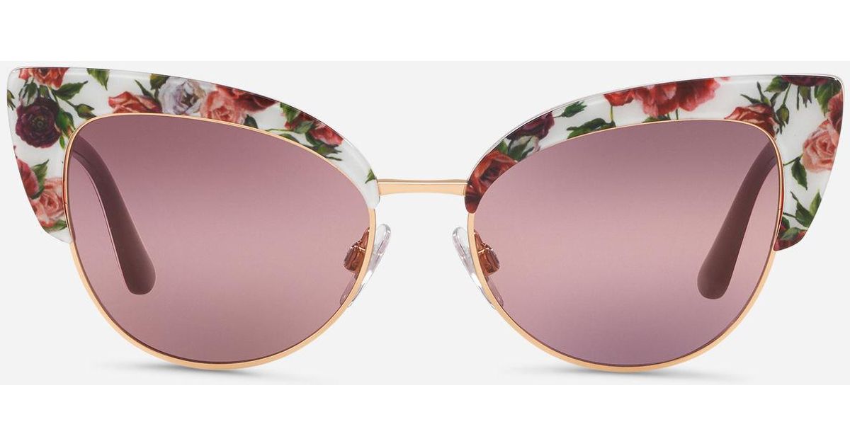Download Dolce & Gabbana Floral Printed Acetate Cat-eye Sunglasses ...