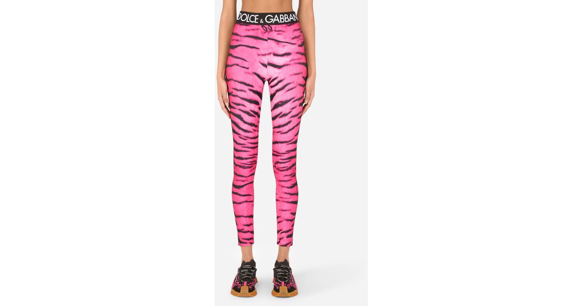 Dolce & Gabbana Cropped Zebra-pint leggings in Pink Slacks and Chinos Leggings Womens Clothing Trousers 