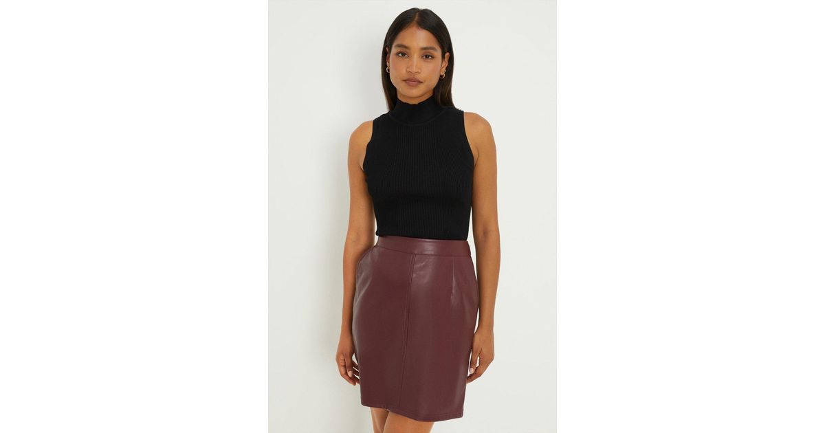 Tan leather best sale skirt dorothy perkins