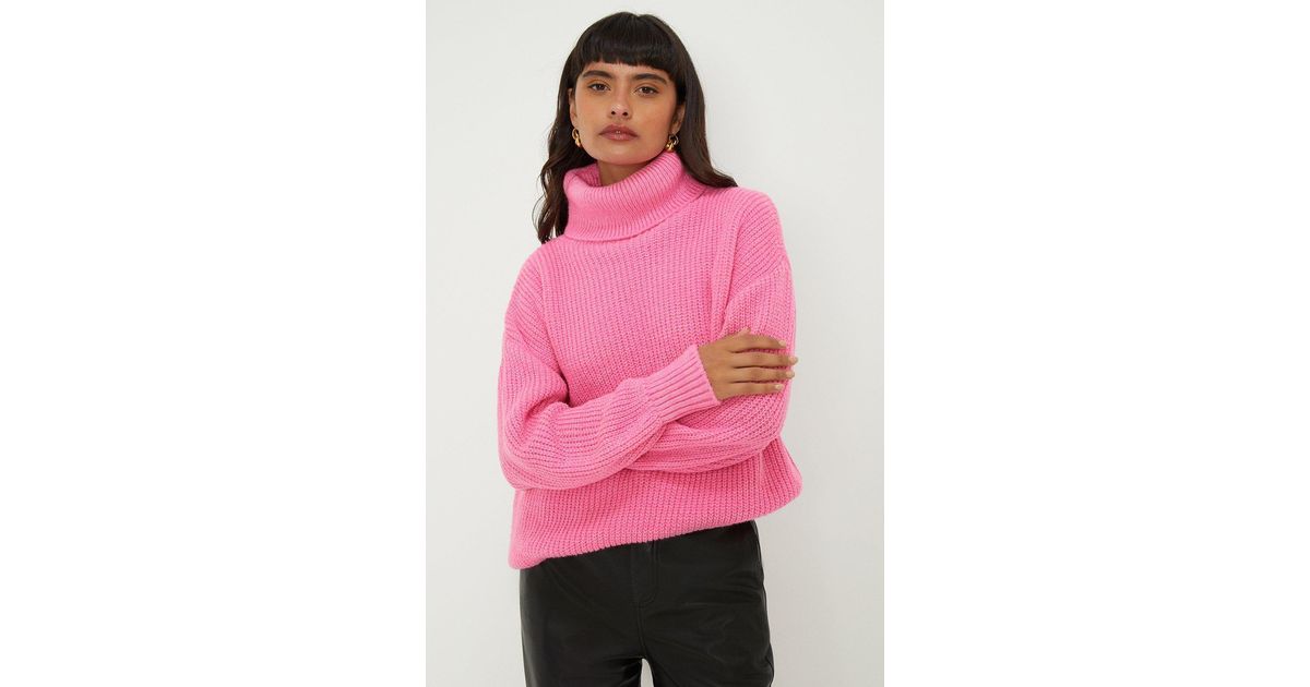 Dorothy perkins clearance polo neck jumpers