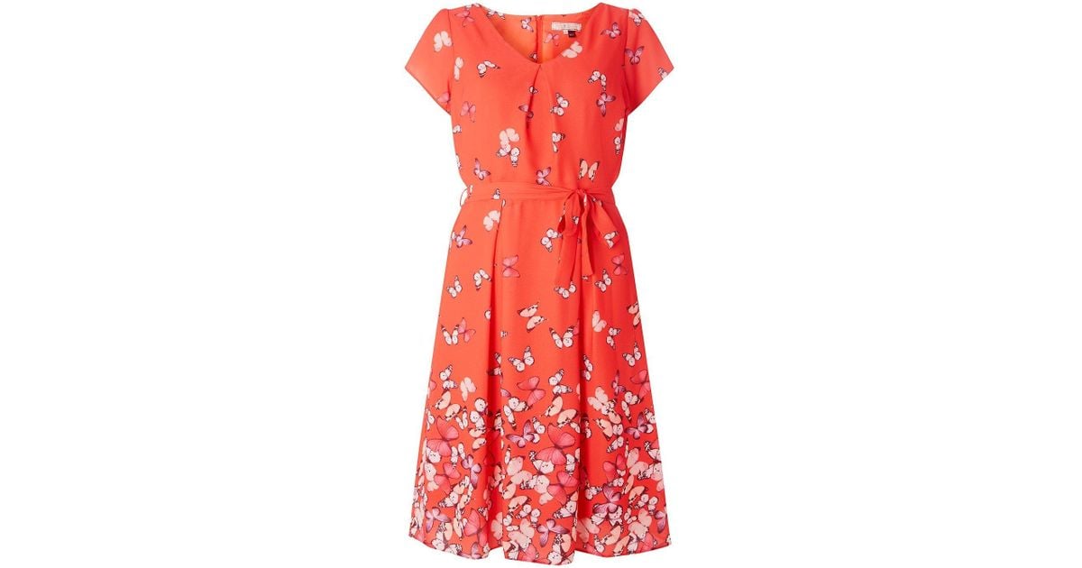 dorothy perkins butterfly dress