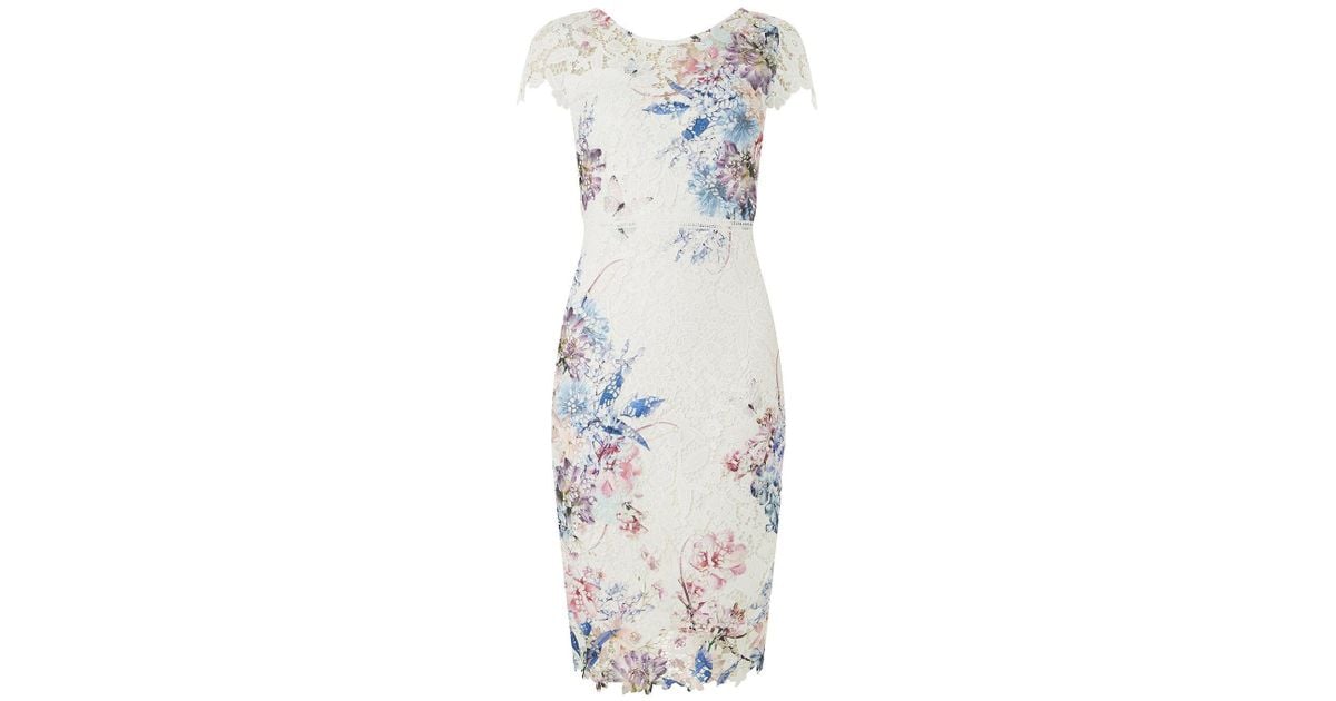scarlett b dress