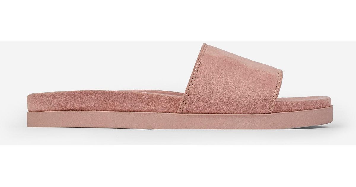 dorothy perkins sliders