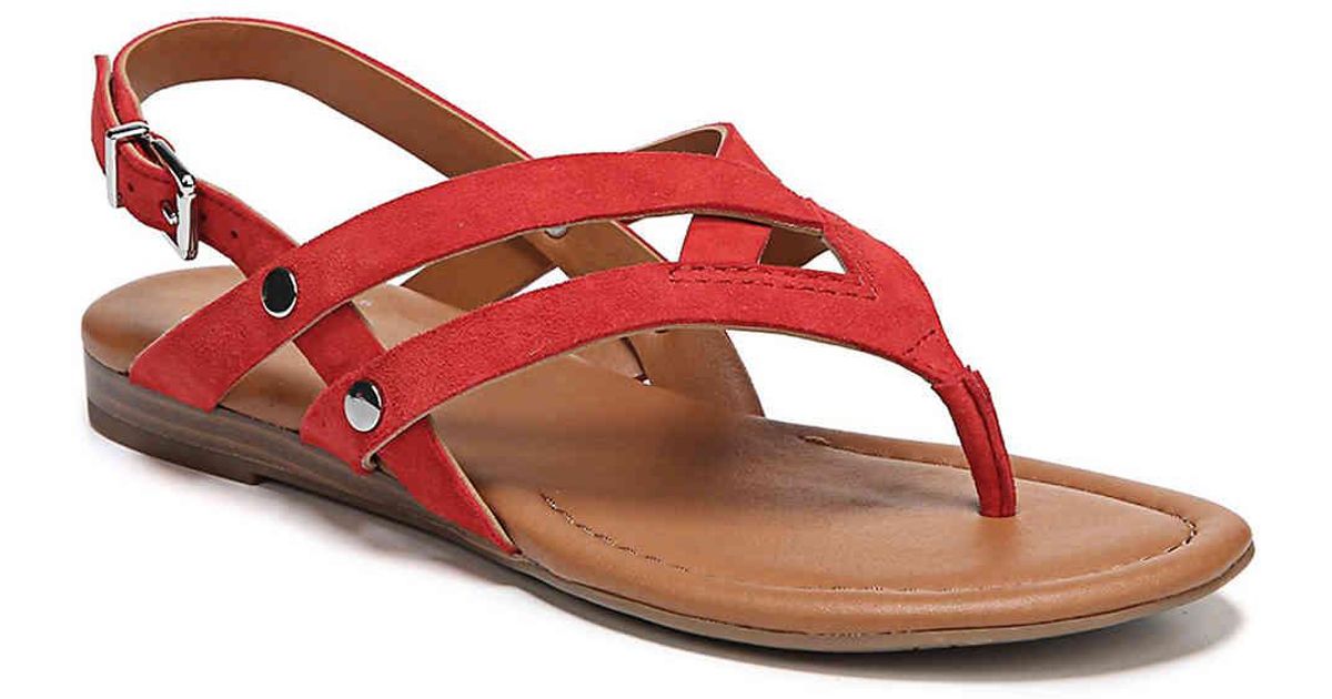 sarto gretchen strappy leather sandal