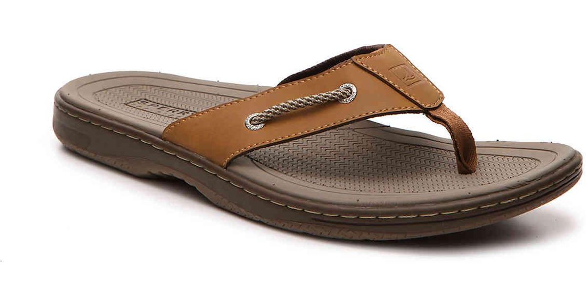 sperry havasu