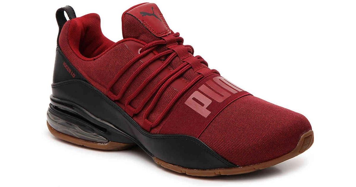 puma cell regulate winterized