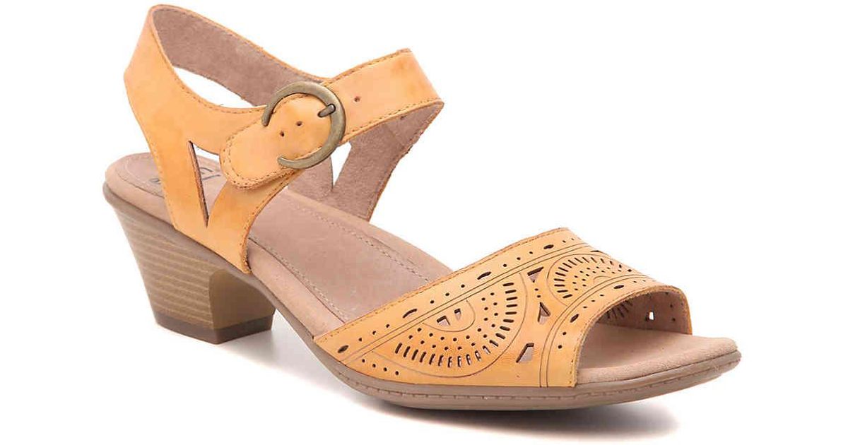 dsw earth