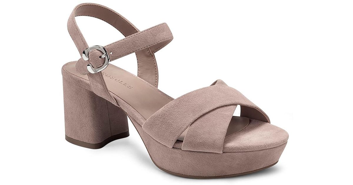 How To Grow and Care for Cosmos Flowers - A Complete Guide | Florgeous