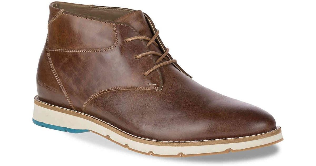 hush puppies breccan hayes