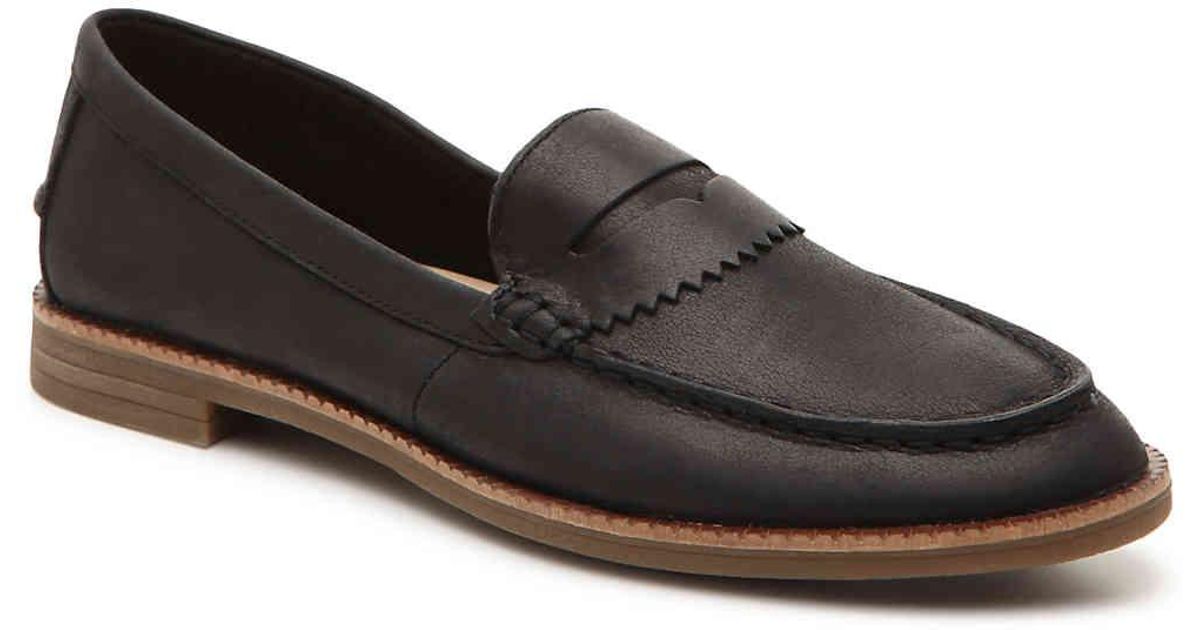 sperry waypoint penny black