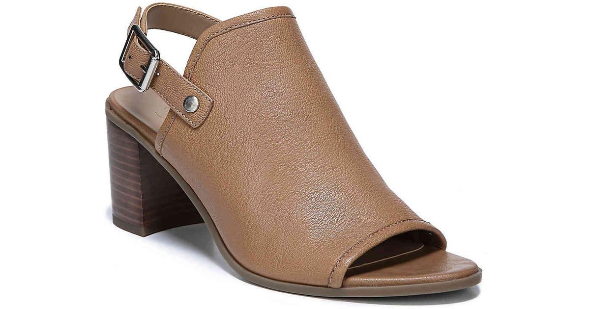 franco sarto humour