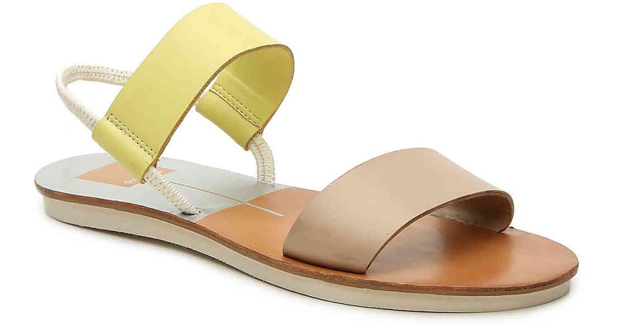 polo sperry shoes
