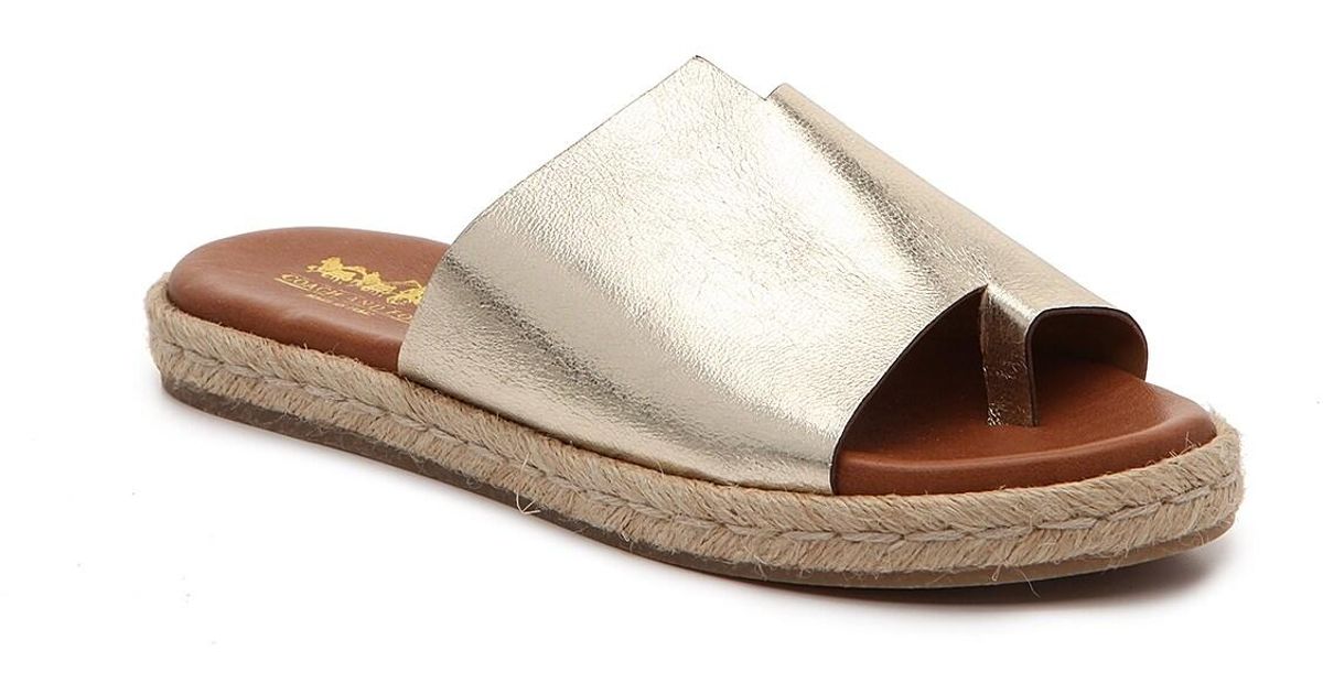toms palma leopard