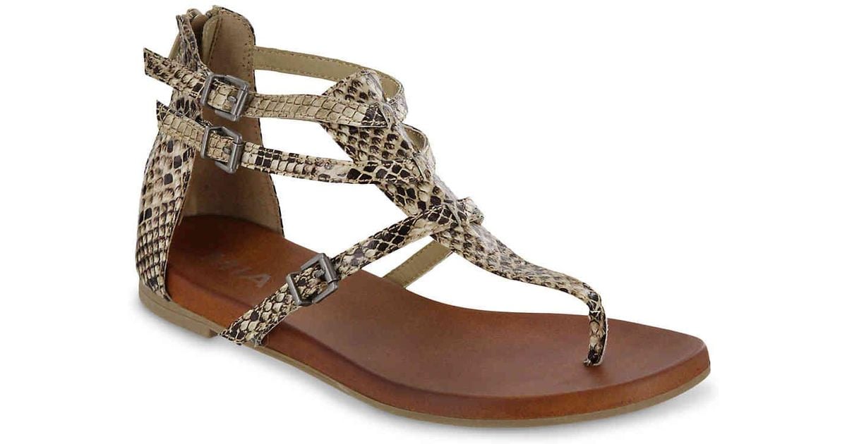 MIA Dashielle Gladiator Sandal in Beige Snake Print (Natural) - Lyst