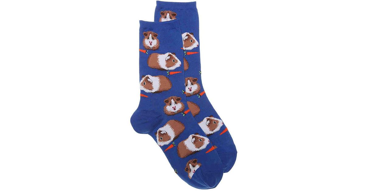 guinea pig socks