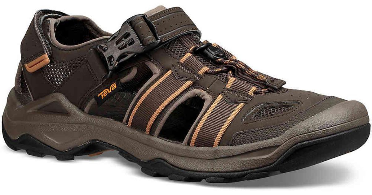 teva m omnium 2