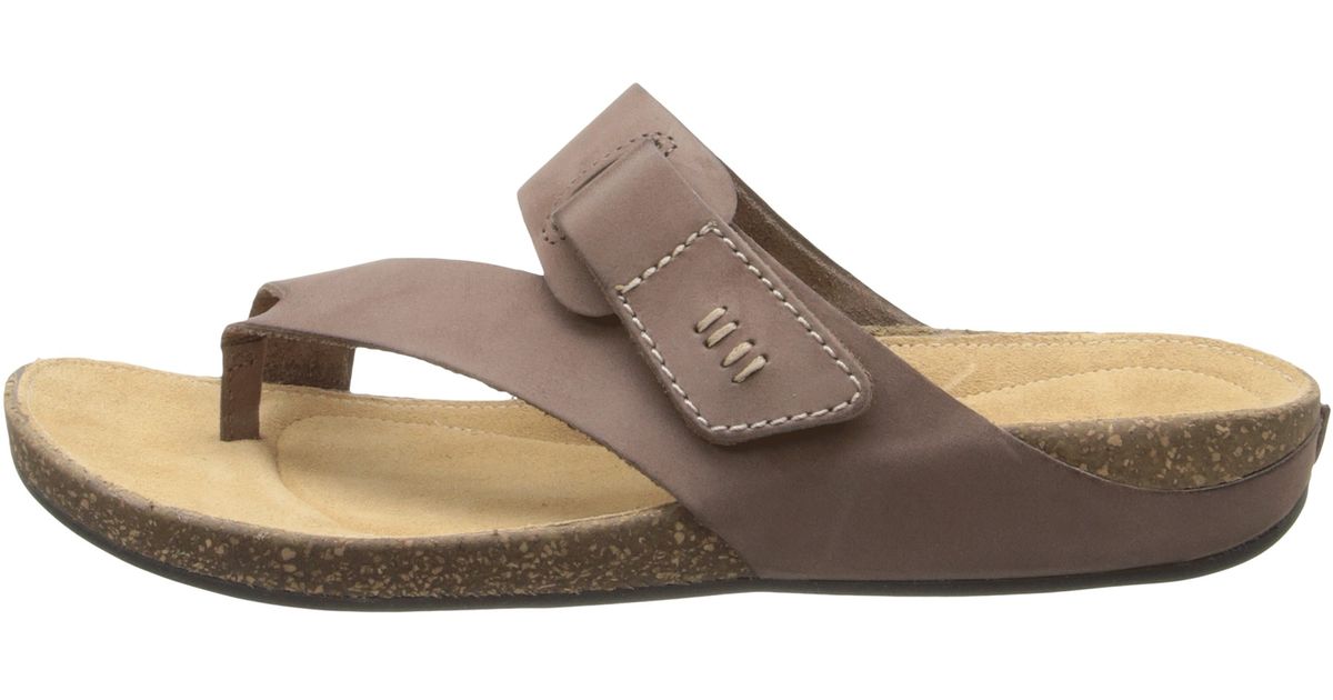 clarks perri coast