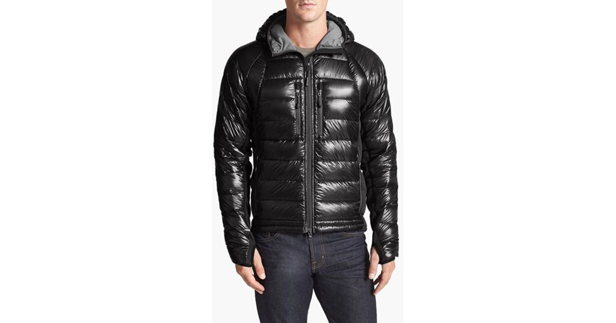 canada goose outlet florida canada goose outlet florida