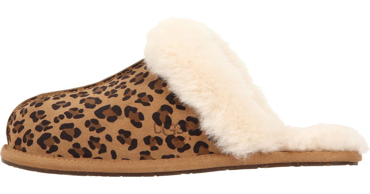 ugg scuffette ii leopard