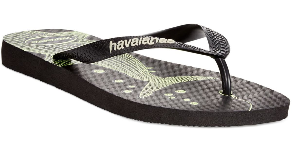 havaianas shark