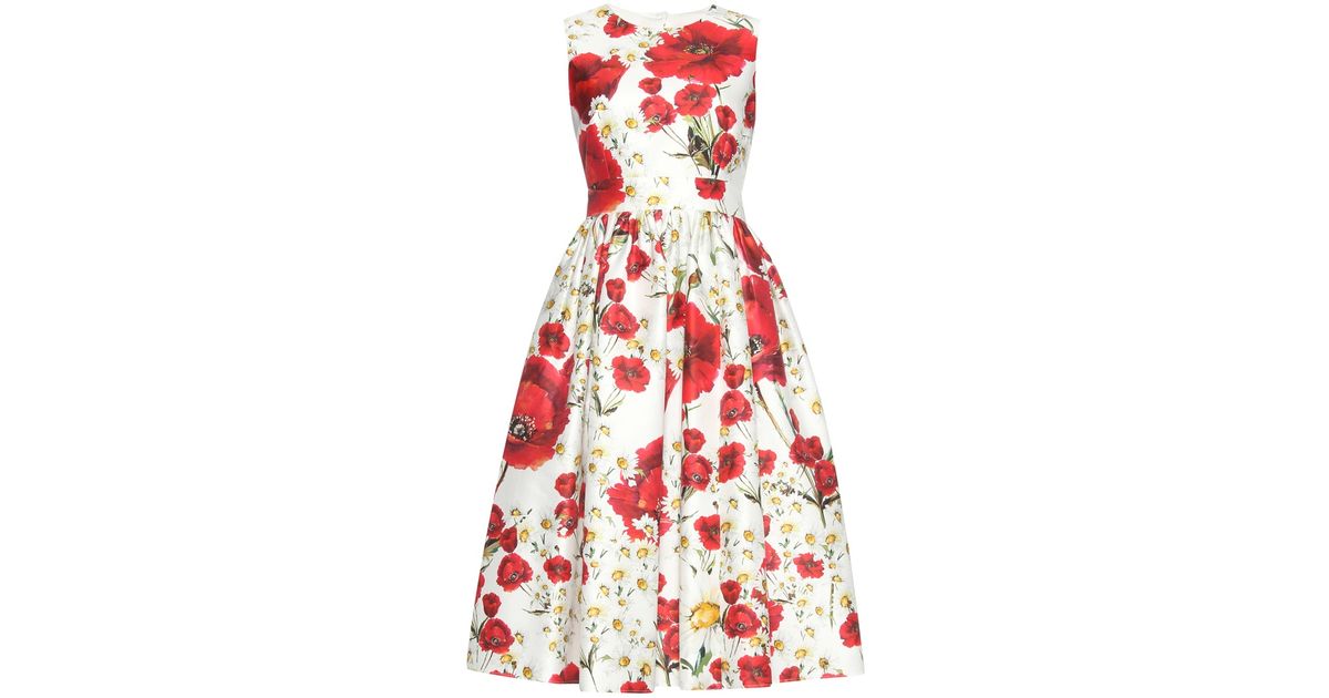 Dolce & Gabbana Poppy-Print Cotton and Silk-Blend Dress in Red - Lyst
