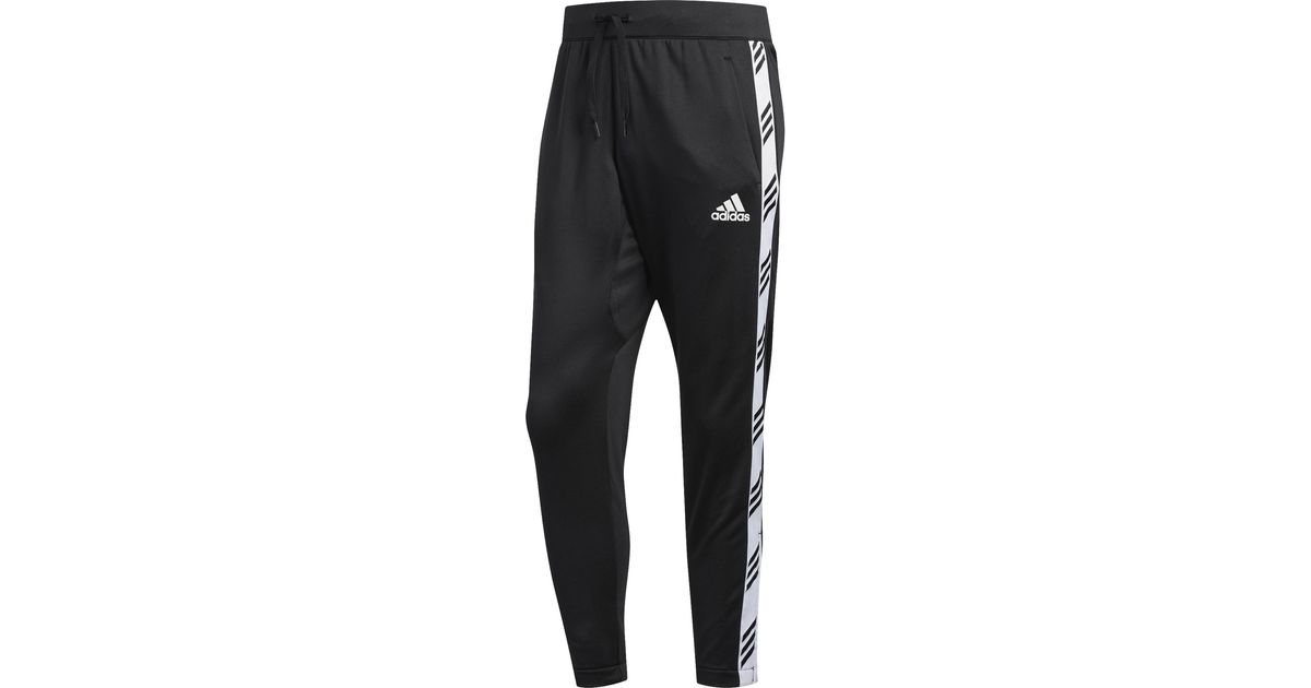 adidas accelerate pants