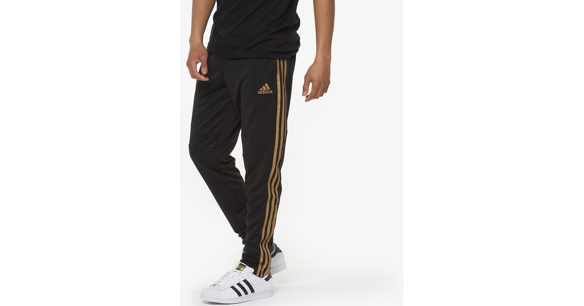 black and gold tiro pants