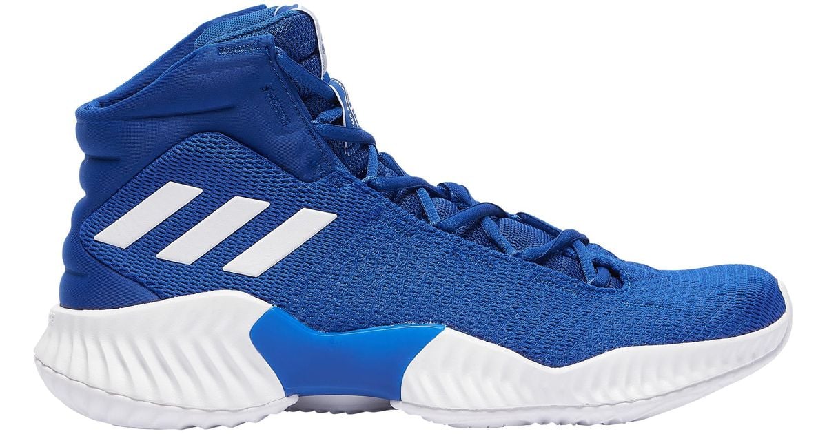 adidas pro bounce blue
