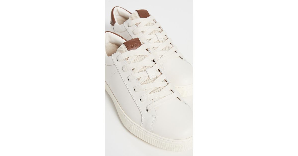 coach c126 sneaker