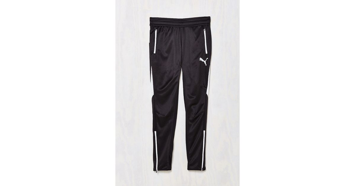 puma flicker pants