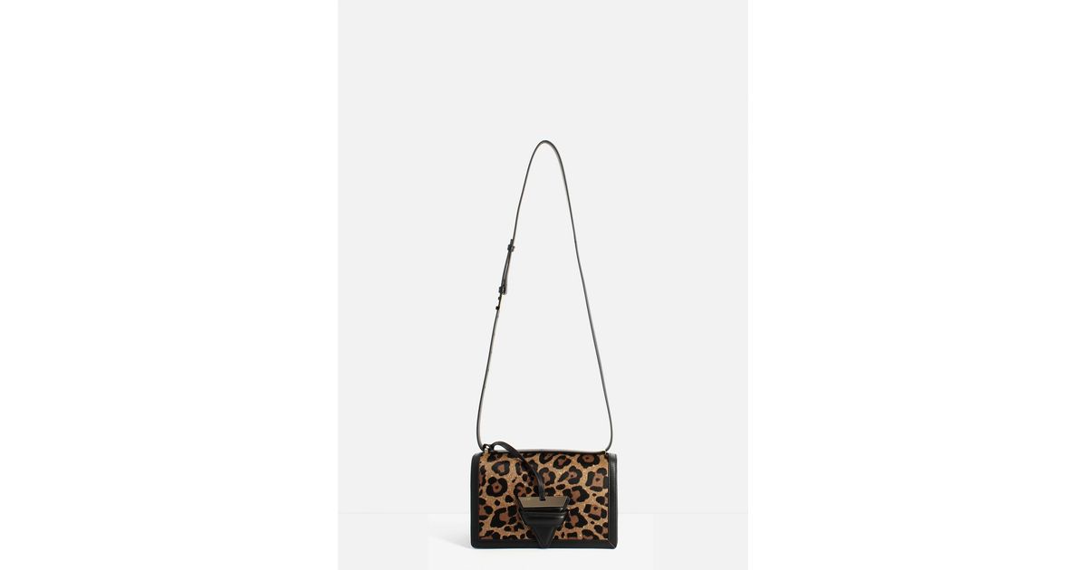 loewe leopard bag