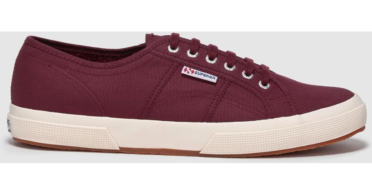 superga maroon