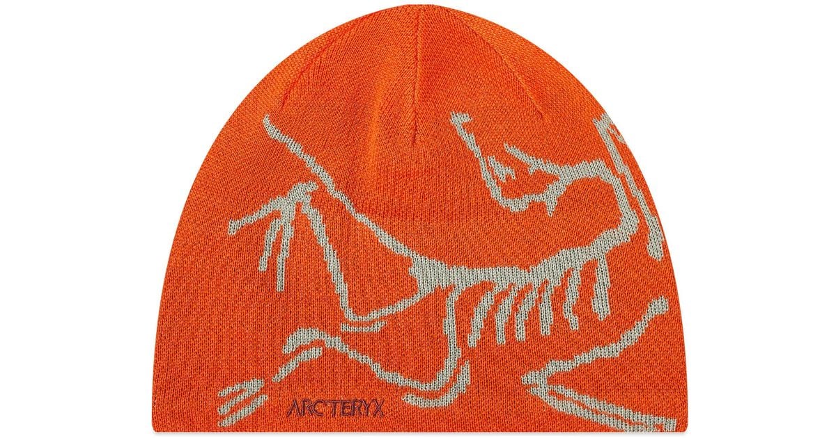 Arc'teryx Arcteryx Bird Head Toque Beanie in Orange for Men