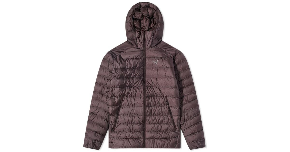 Arc'teryx Cerium Lt Hooded Down Jacket in Brown for Men Lyst