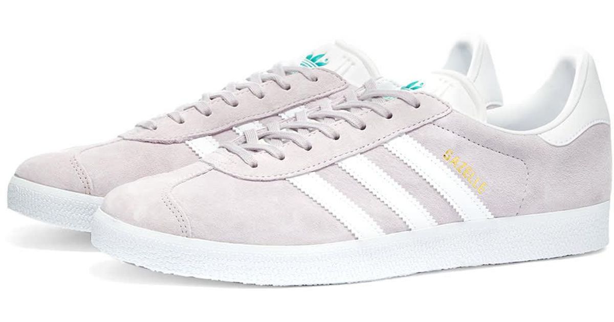 gazelle lilac