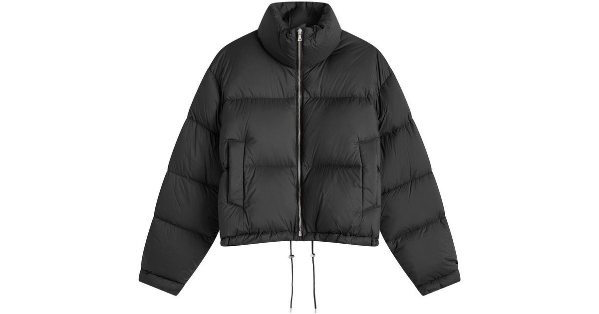 AURALEE Super Light Nylon Ripstop Down Blouson in Black | Lyst AURALEE Super Light Nylon Ripstop Down Blouson in Black | Lyst