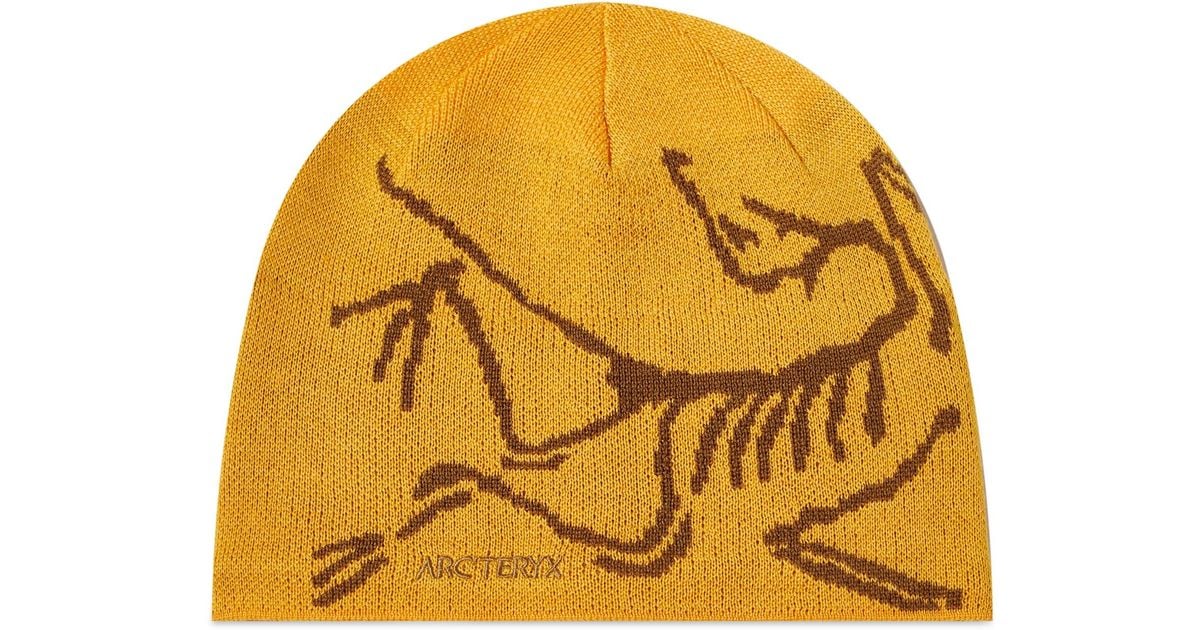 Arc'teryx Bird Head Toque Beanie in Yellow | Lyst Australia