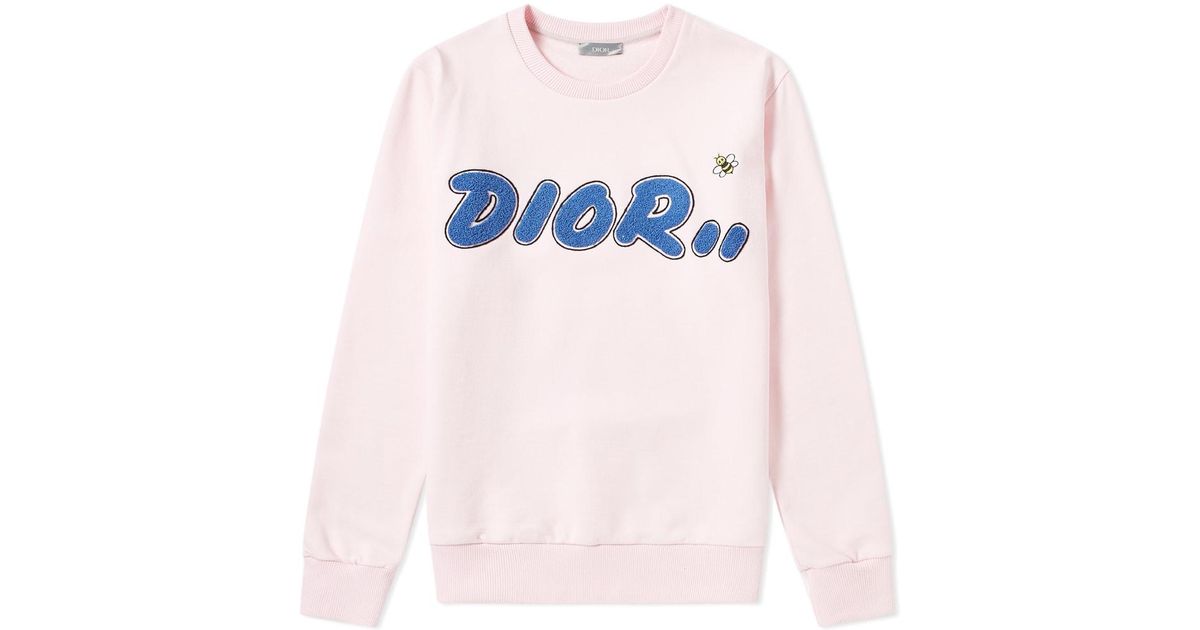 pink dior hoodie