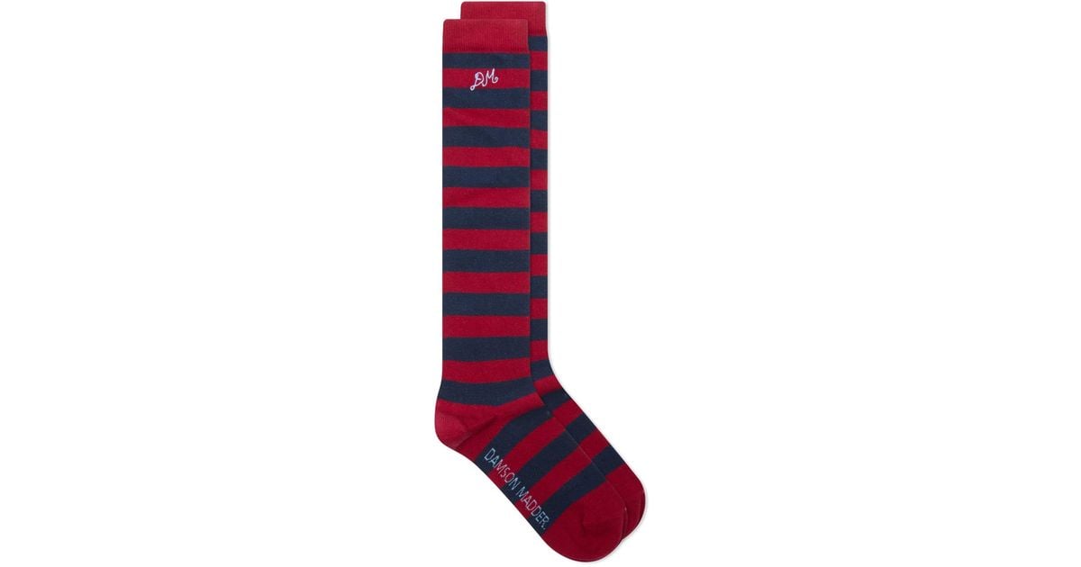 High Stripe Socks - White - Men - EU - Europe